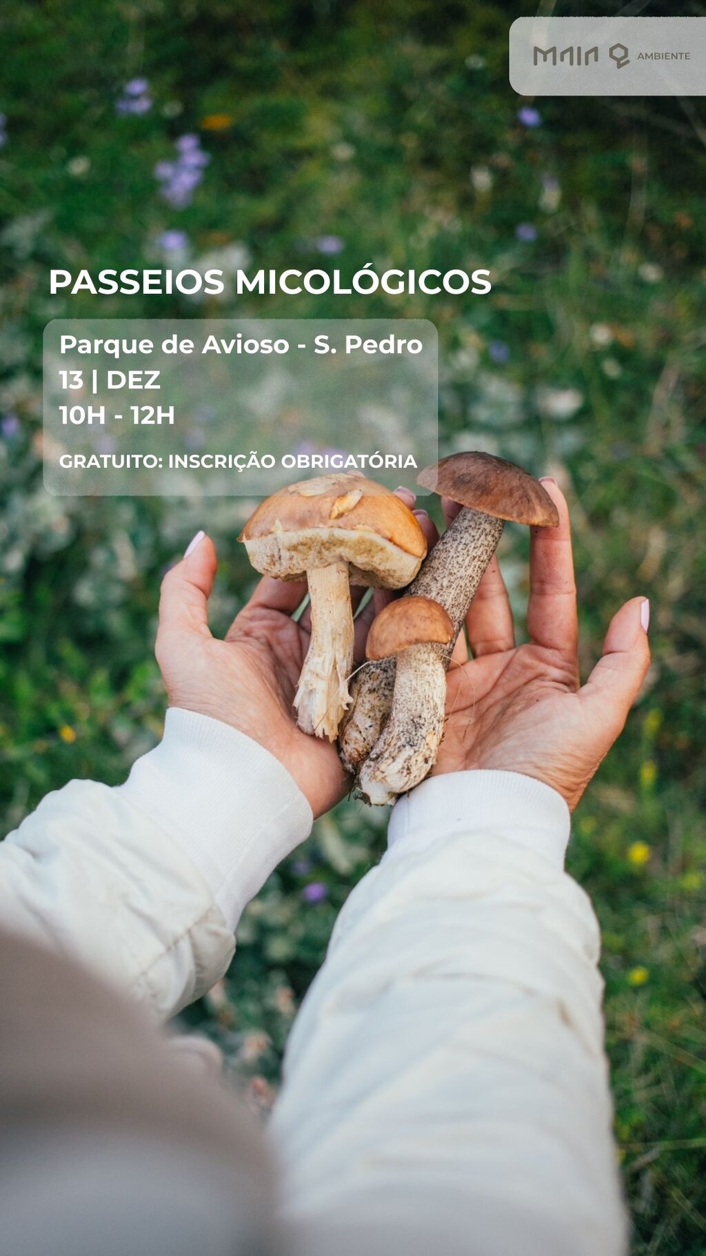 Passeios Micológicos no Parque de Avioso - S. Pedro