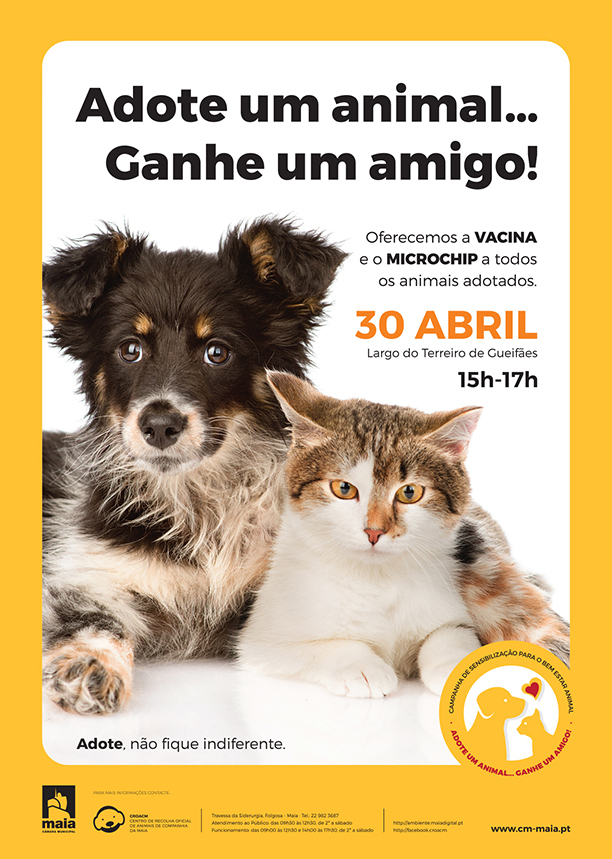 Adoção de Animais