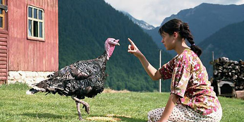 Histórias da Idade do Ouro