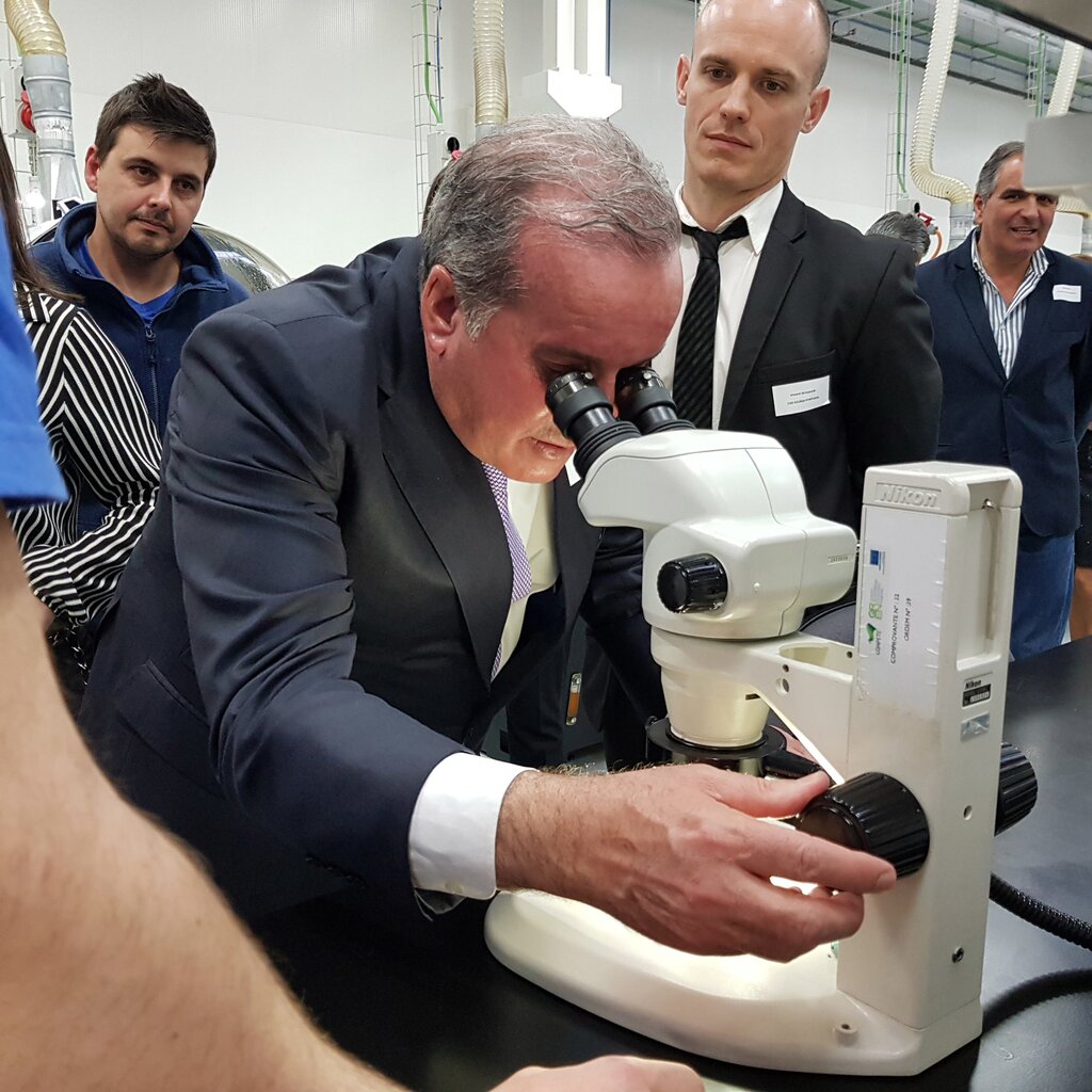 Azurea investe na Maia