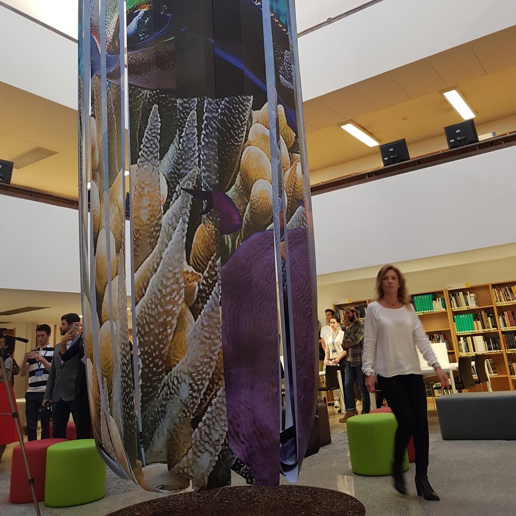 Biblioteca Municipal tem mais uma sala de leitura