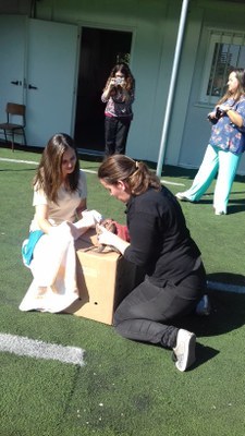 MUNICÍPIO DA MAIA ASSINALA DIA MUNDIAL DO ANIMAL ATRAVÉS DA LIBERTAÇÃO DE UM PENEREIRO VULGAR (FA...