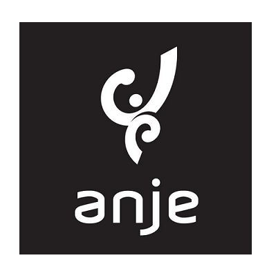 PRÓXIMA SESSÃO DE CONSULTORIA A 4 DE JULHO NO FÓRUM JOVEM   PARCERIA ANJE / CÂMARA MUNICIPAL  DA ...