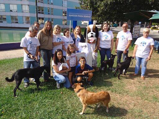 MUNICÍPIO DA MAIA ASSINALOU O QUARTO ANO DE CAMPANHA DE PROMOÇÃO DO BEM-ESTAR ANIMAL ATRAVÉS DA C...