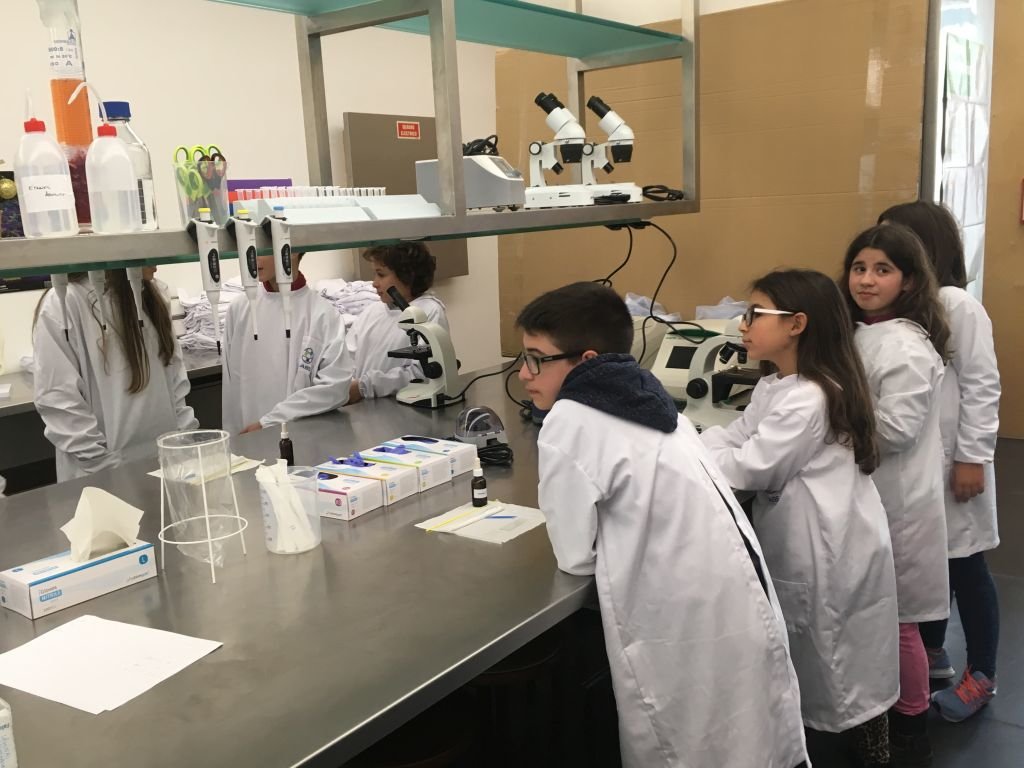 FAJ – NATAL 2018 – a reportagem