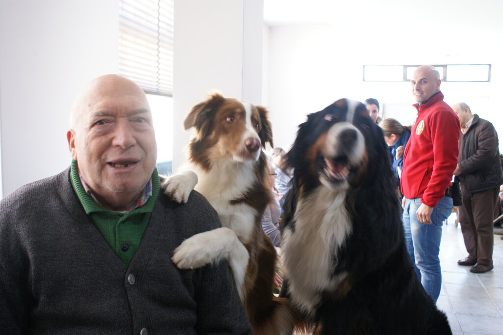 PMSS 60+ |Terapia com Animais 60+