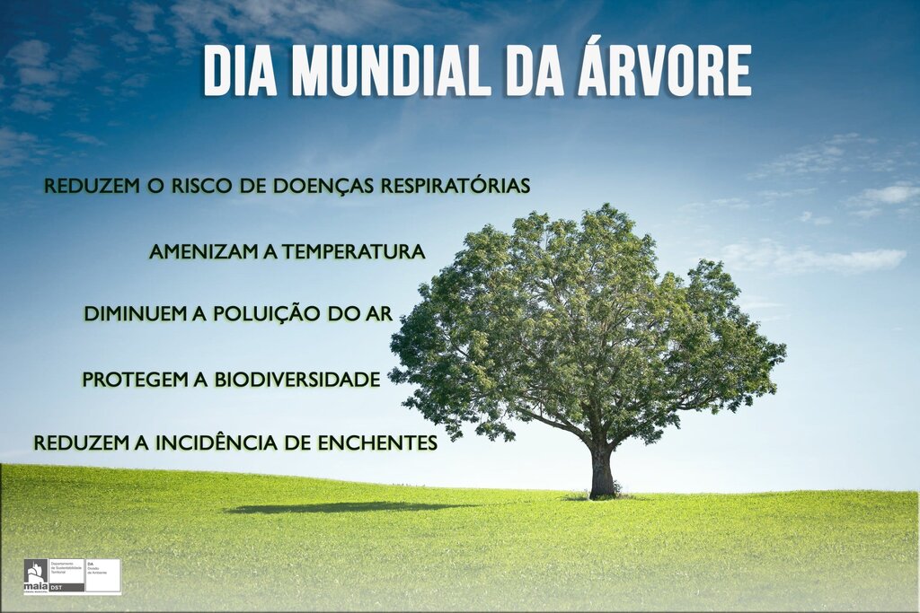 DIA MUNDIAL DA ÁRVORE