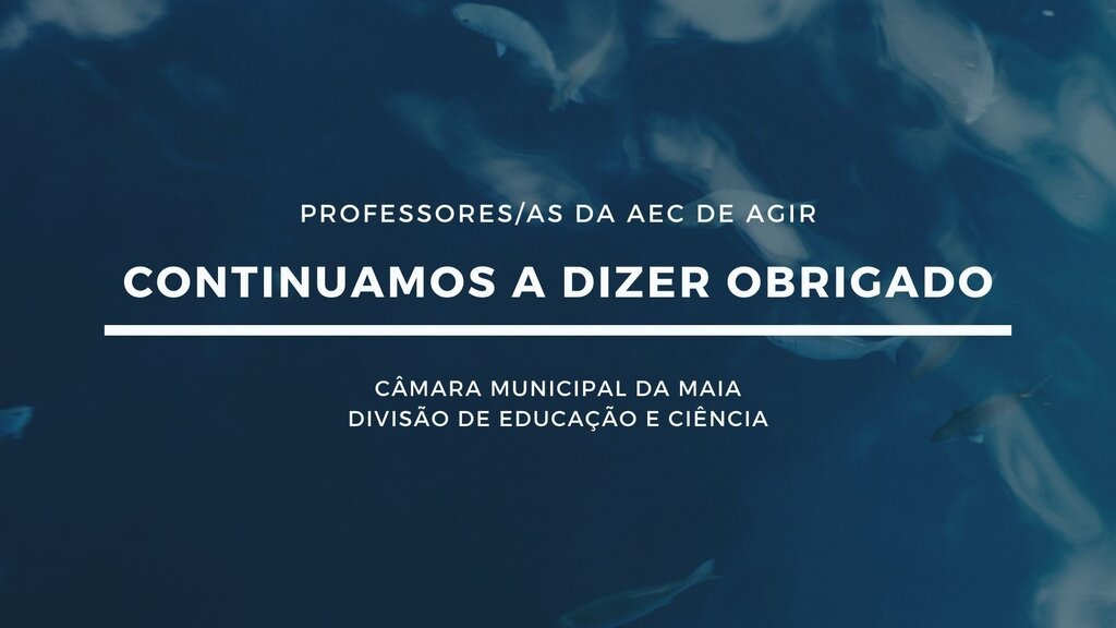 Continuamos a dizer Obrigado