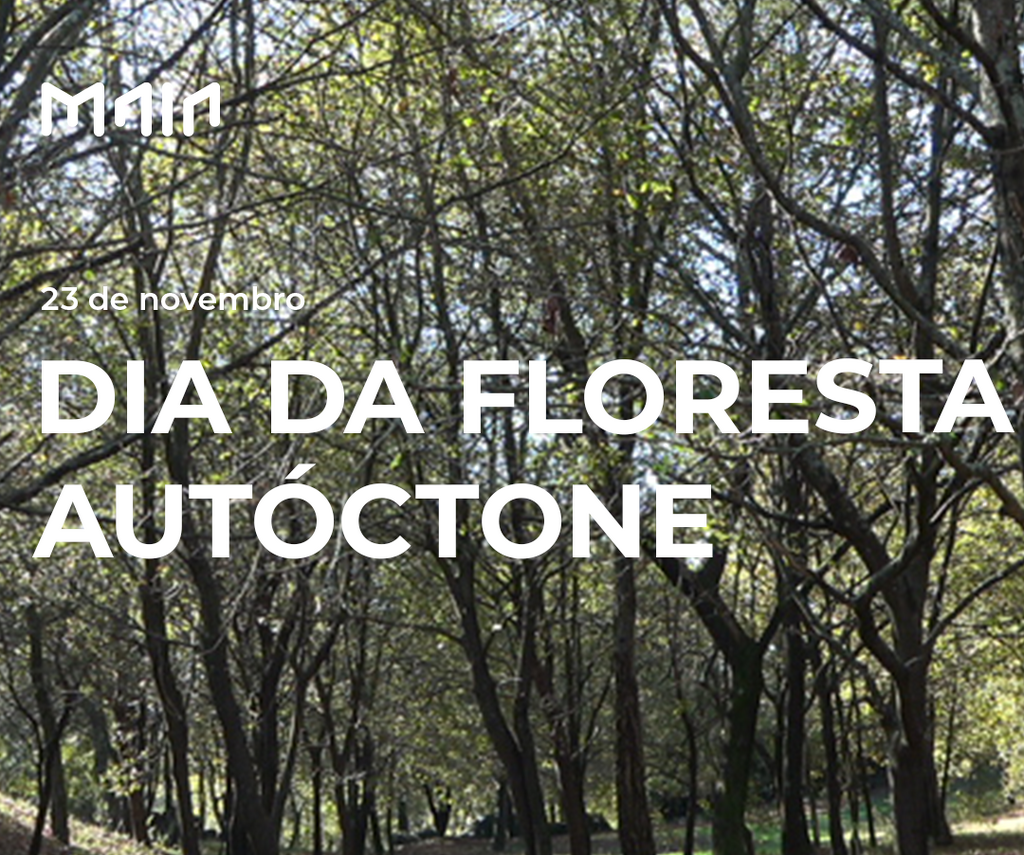 Dia da Floresta Autóctone 
