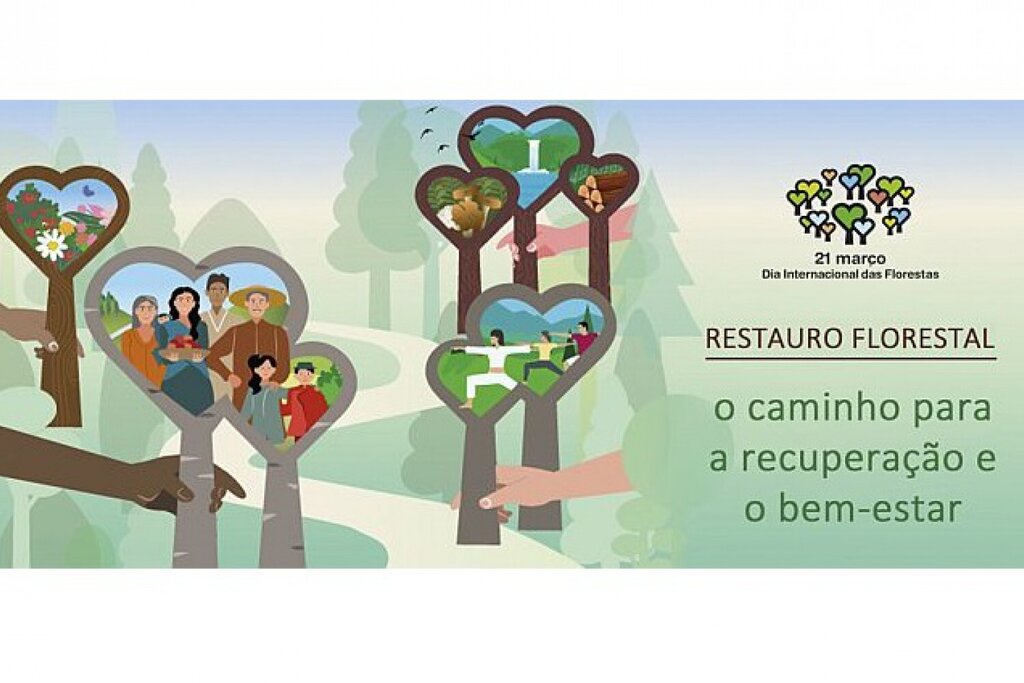 ICNF COMEMORA O DIA INTERNACIONAL DAS FLORESTAS OFERECENDO 50.000 ÁRVORES AUTÓCTONES AOS CIDADÃOS...