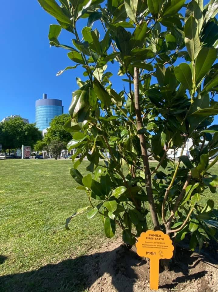 21 de Março - Comemoração do Dia Mundial da Árvore, com a plantação de uma Magnolia grandiflora n...