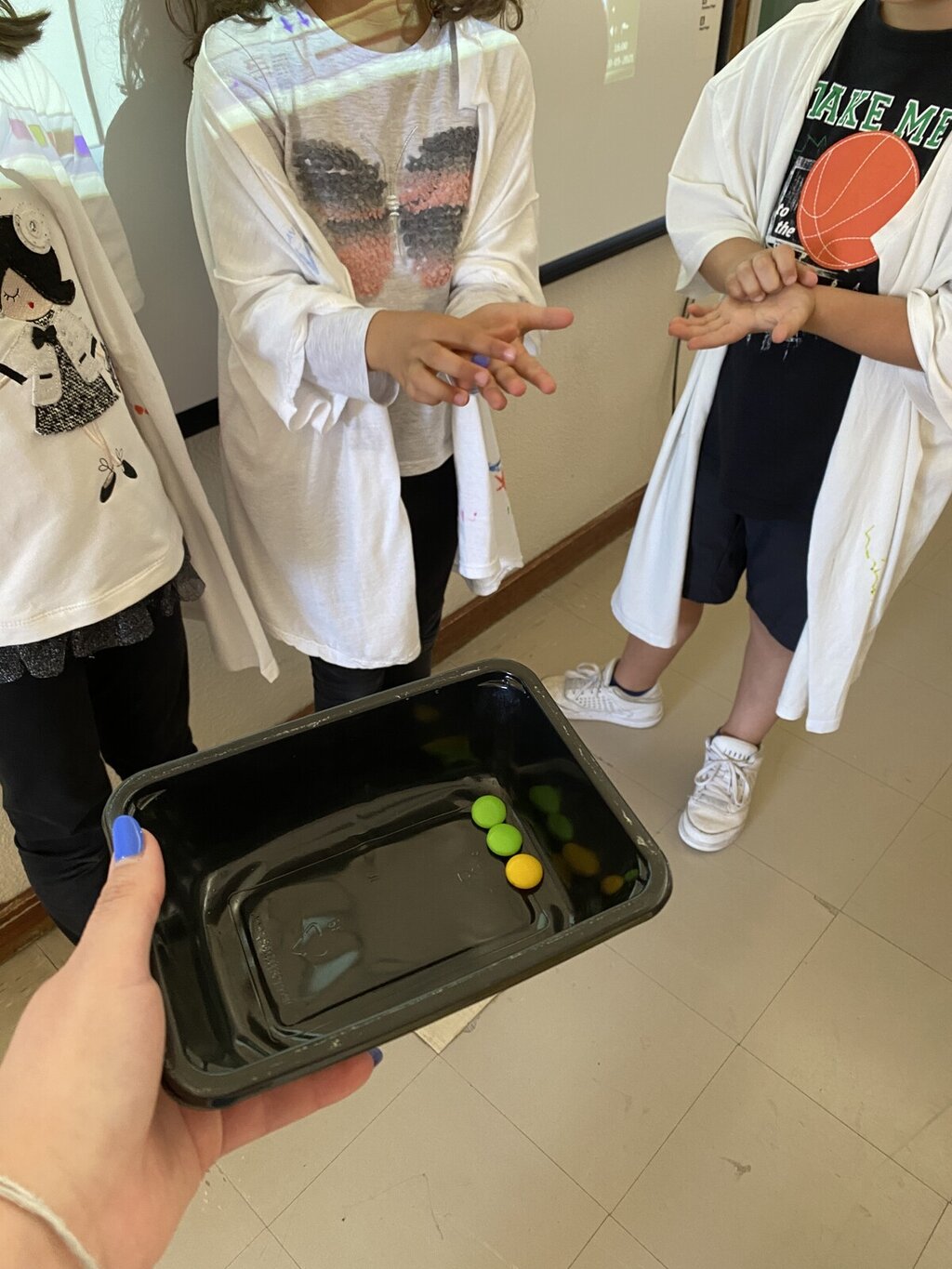 “A Biodiversidade”