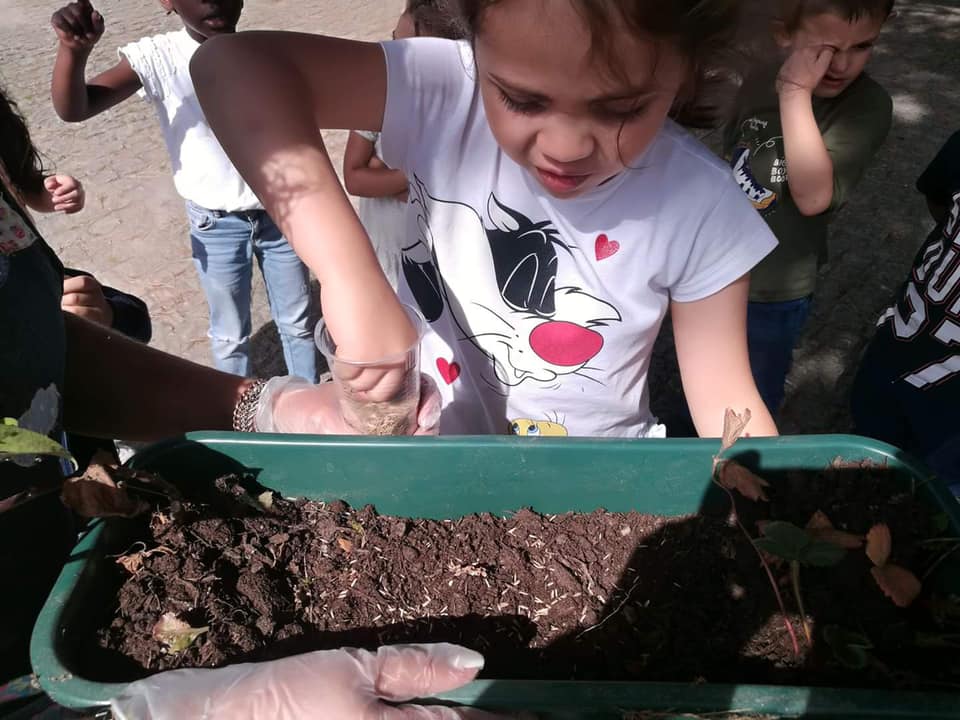 Educação em Férias 2021