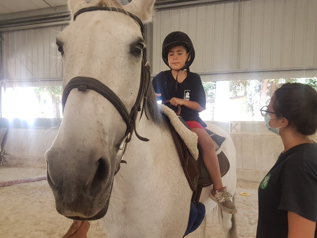 Desafios em férias 2021