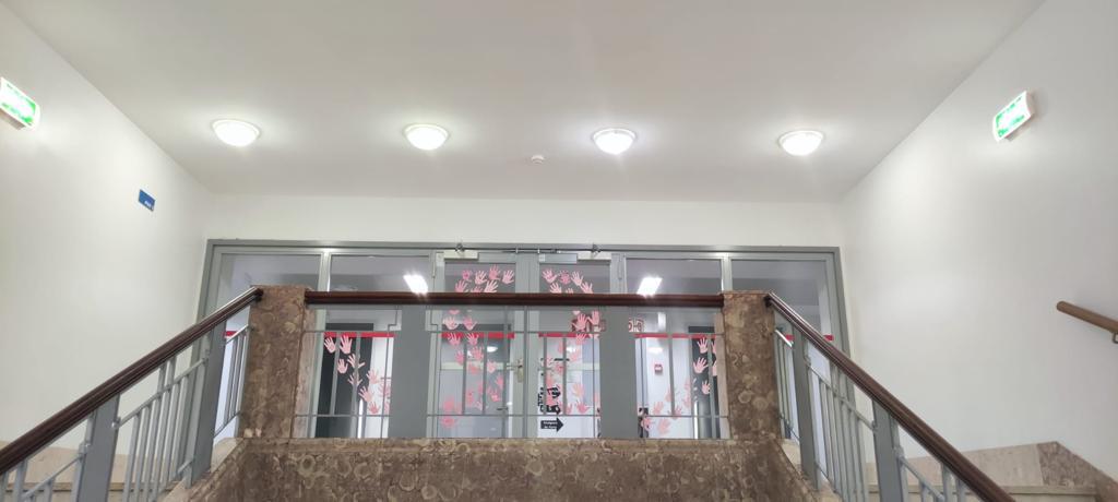 Escola básica da Guarda leva esperança ao Hospital de Santo António