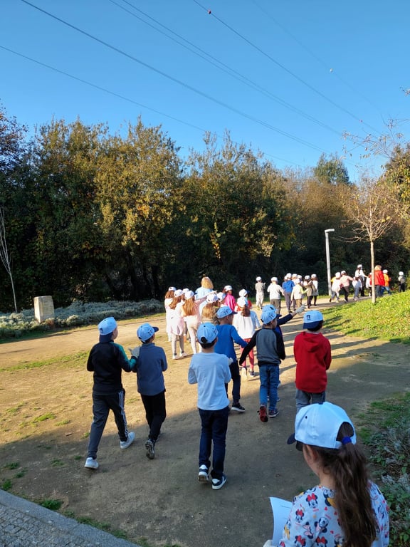 Projeto “As AEC Cuidam”