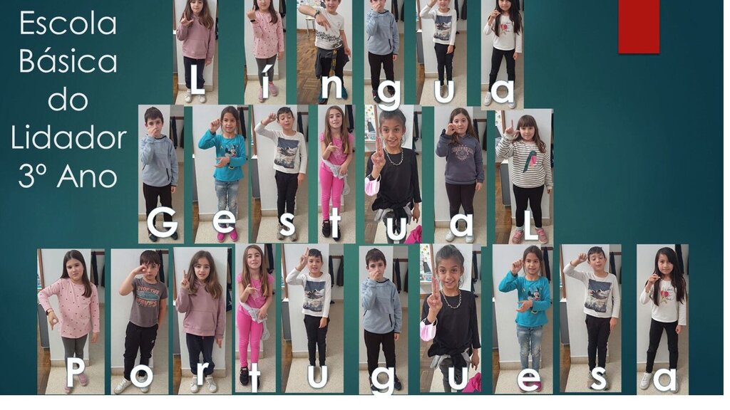 Língua Gestual nas AEC