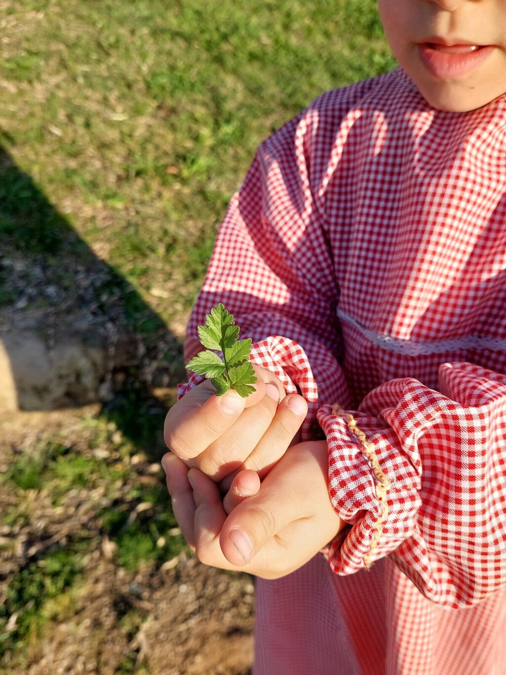Partilhar e sentir | PlenaMente