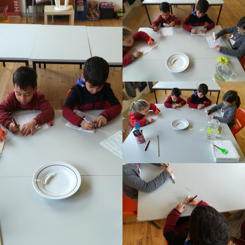 Areia Movediça e a Lagartinha com sede | Cria&Explora 