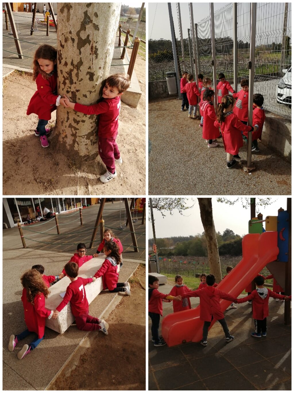 Celebrar a Natureza em LUDI+