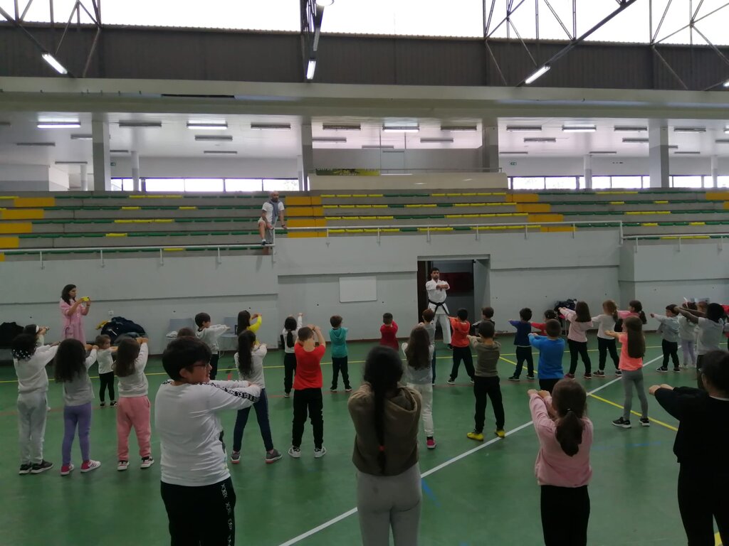 Escola Básica de Corim desafiada para o Karaté 