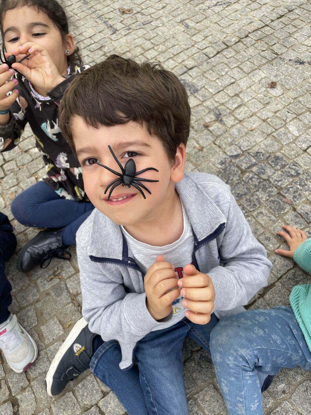 Apanha a aranha em plenaMente