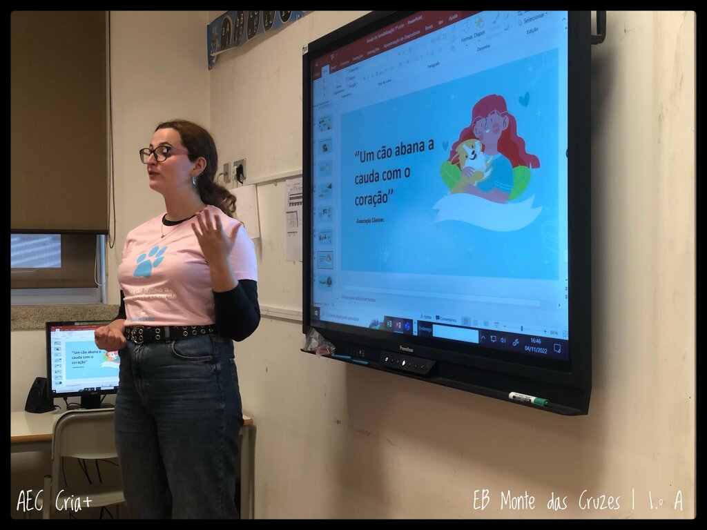 Voluntariado e bem-estar animal com a Associação CãoViver 