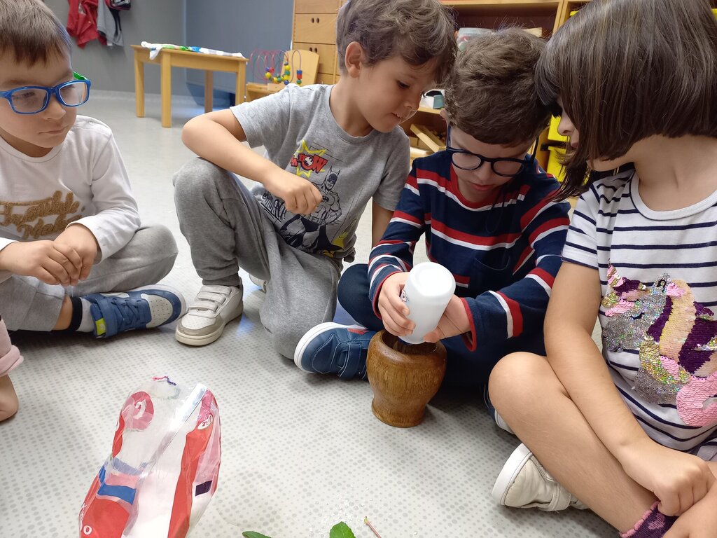 As surpresas das folhas de outono em Cria&Explora