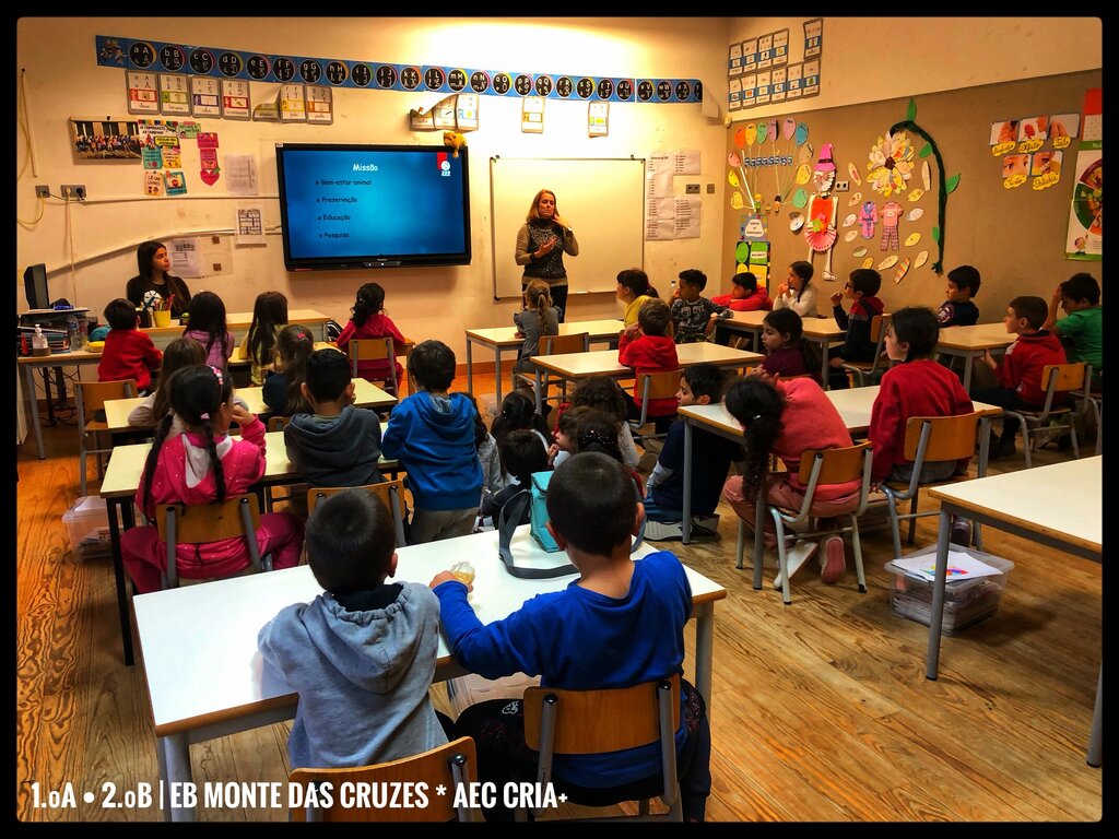 Zoo da Maia vai à Escola Básica de Monte das Cruzes