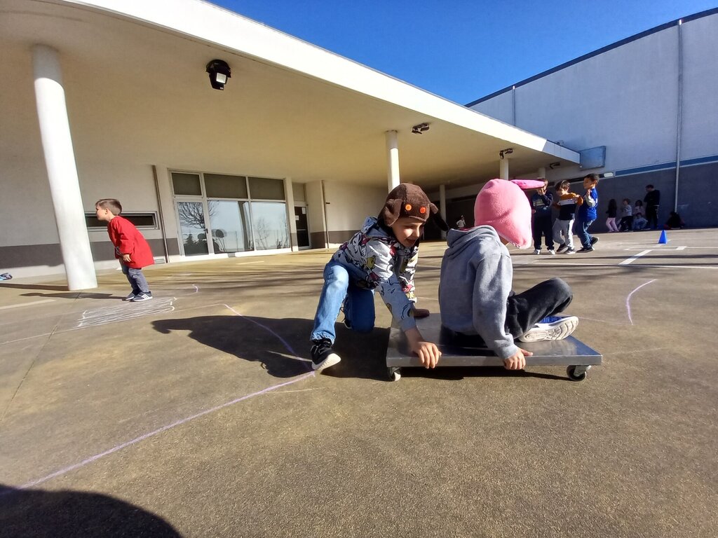 “Porque é que os animais não conduzem?” em Faz&Conta
