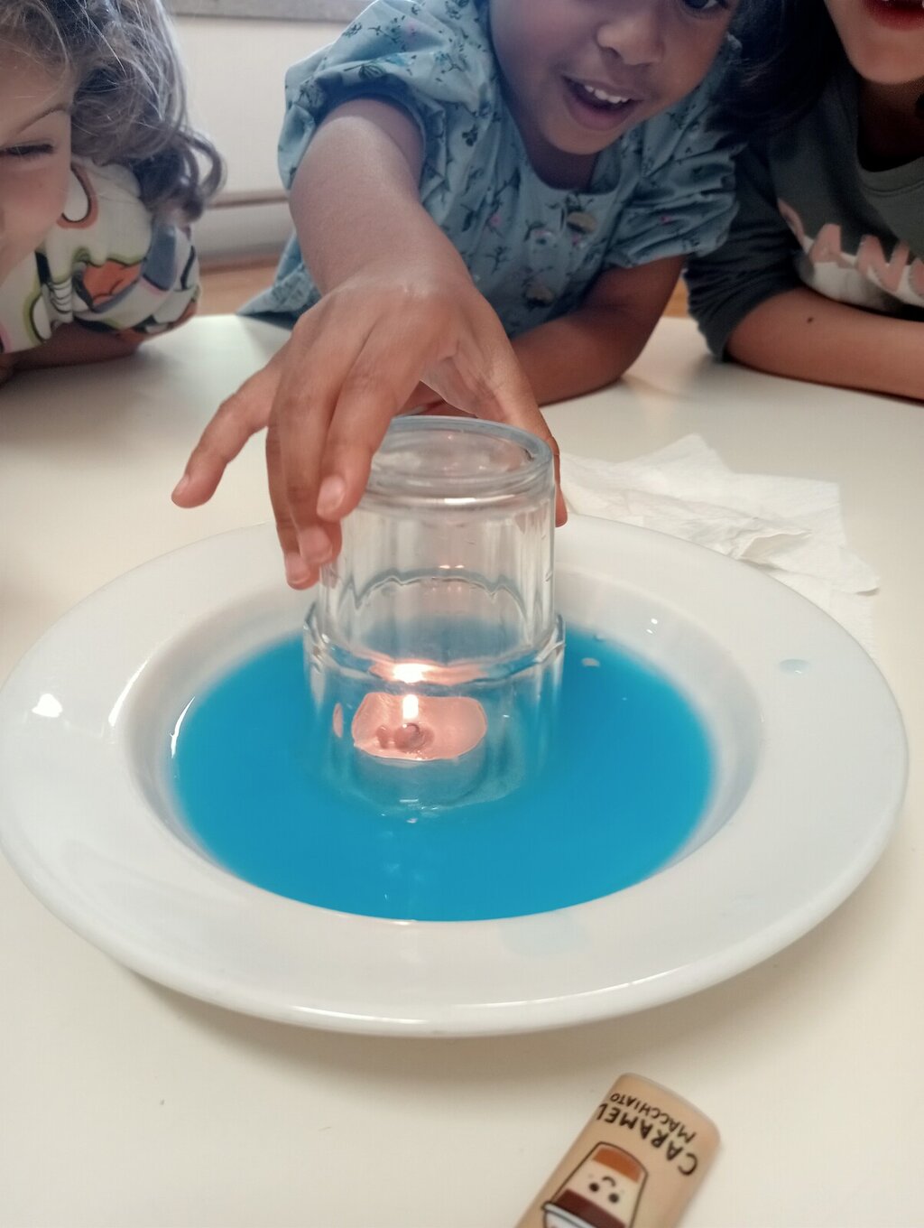 Experiência “Sobe, sobe” em Cria&Explora