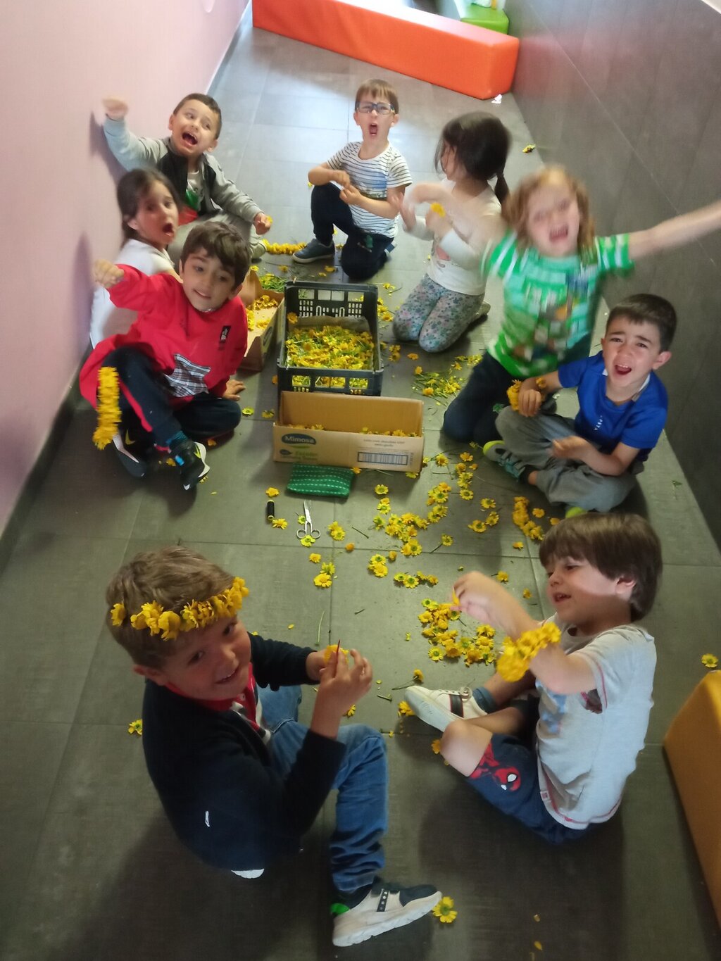 Flores com sentidos em plenaMente