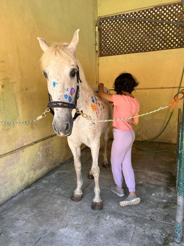 Desafios em Férias - verão 2023 | FLASHBACK