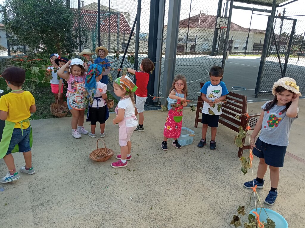 Faz e Conta: Vamos vindimar?