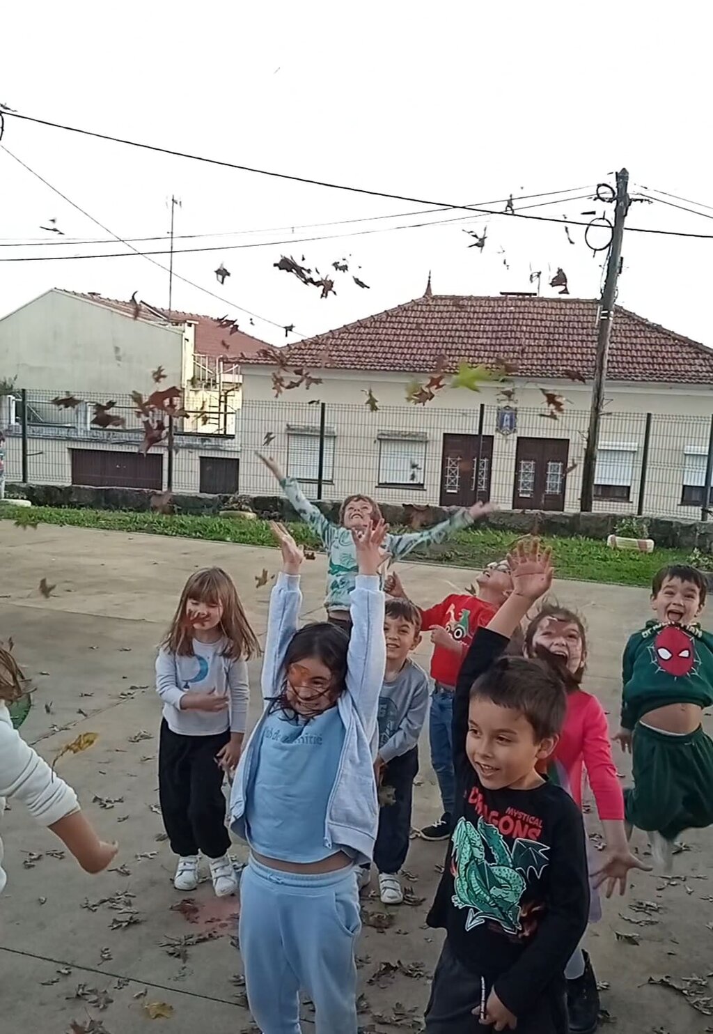 Plenamente: Folhas com Sentidos