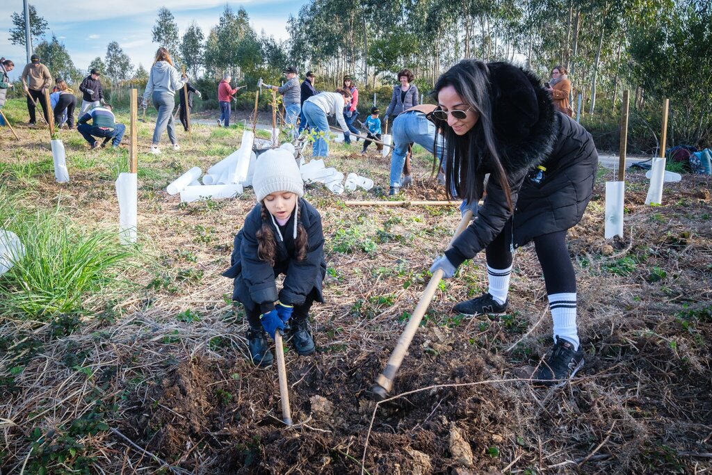Voluntários plantam meio milhar de árvores na Maia