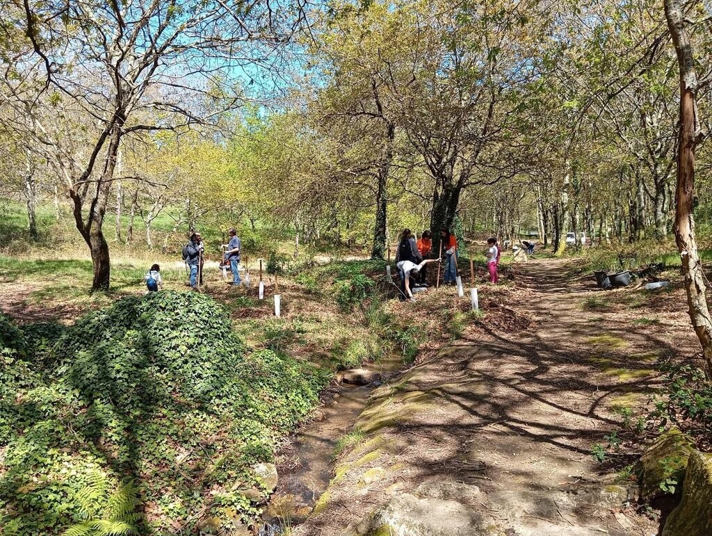 Dia Mundial da Árvore celebrado com as mãos na terra do Parque do Avioso 