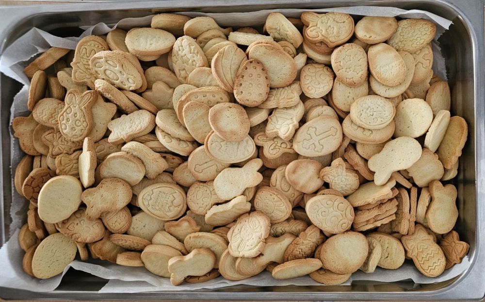 Bolachas com Amor: Pequenas Mãos, Grandes Causas na EB nº 1 de Gueifães