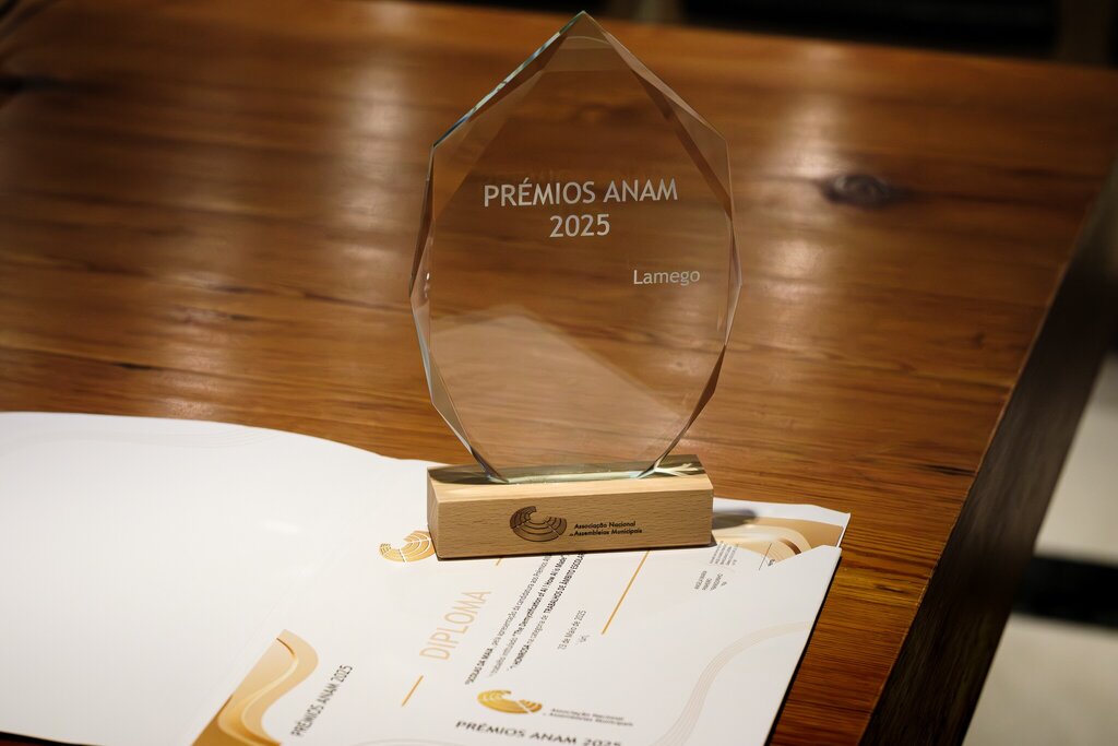 Agrupamento de Escolas da Maia recebe Menção Honrosa nos Prémios ANAM 2025