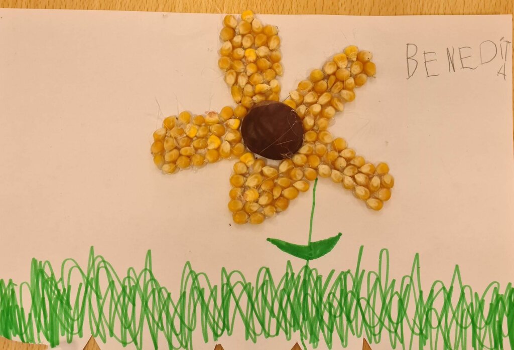 Entrega de prémio concurso “Sou... Van Gogh”, Participa+