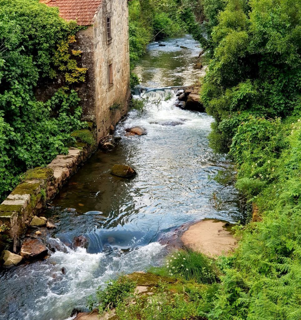 Comunicado | Corredor do Rio Leça - ETAR de Parada
