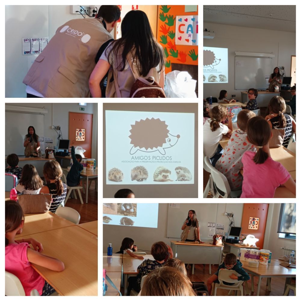 Associação dos Amigos Picudos na EB de Moutidos