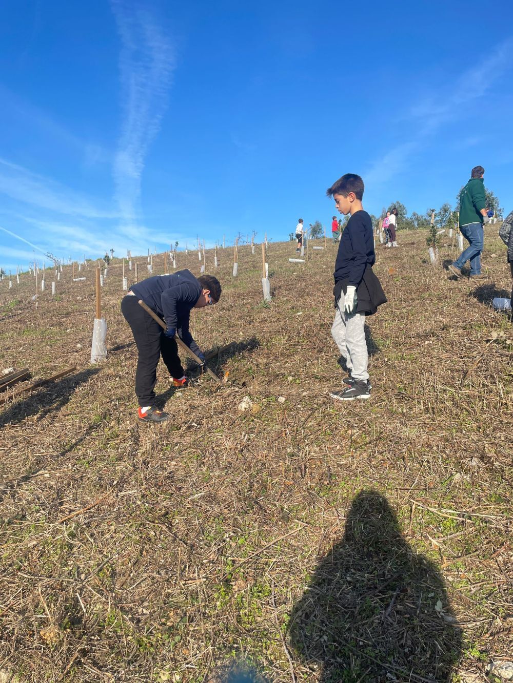 Município da Maia comemora o Dia da Floresta Autóctone