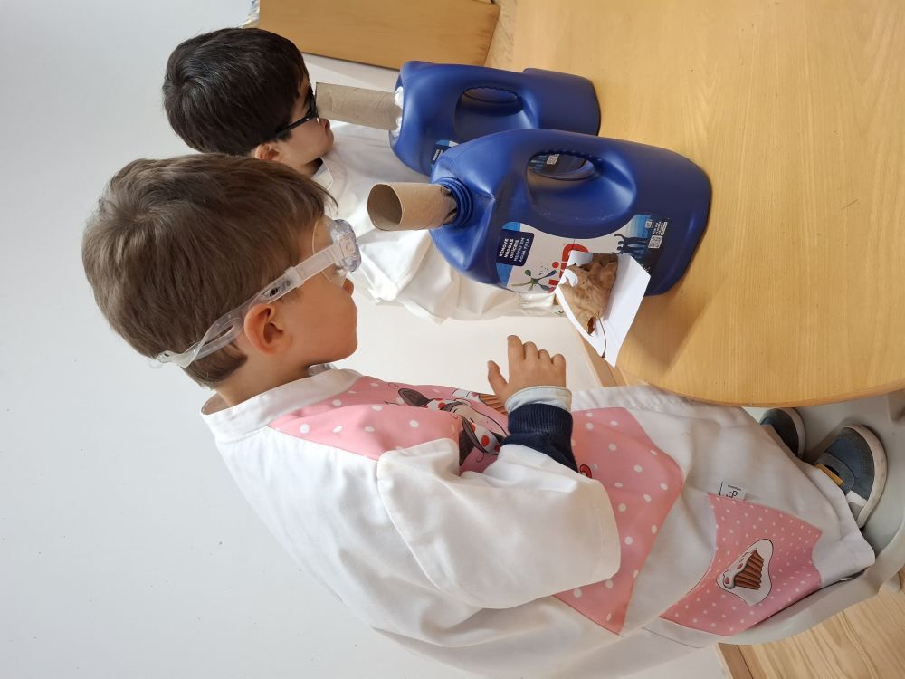 Pequenos Cientistas em Ação no Dia Mundial da Ciência