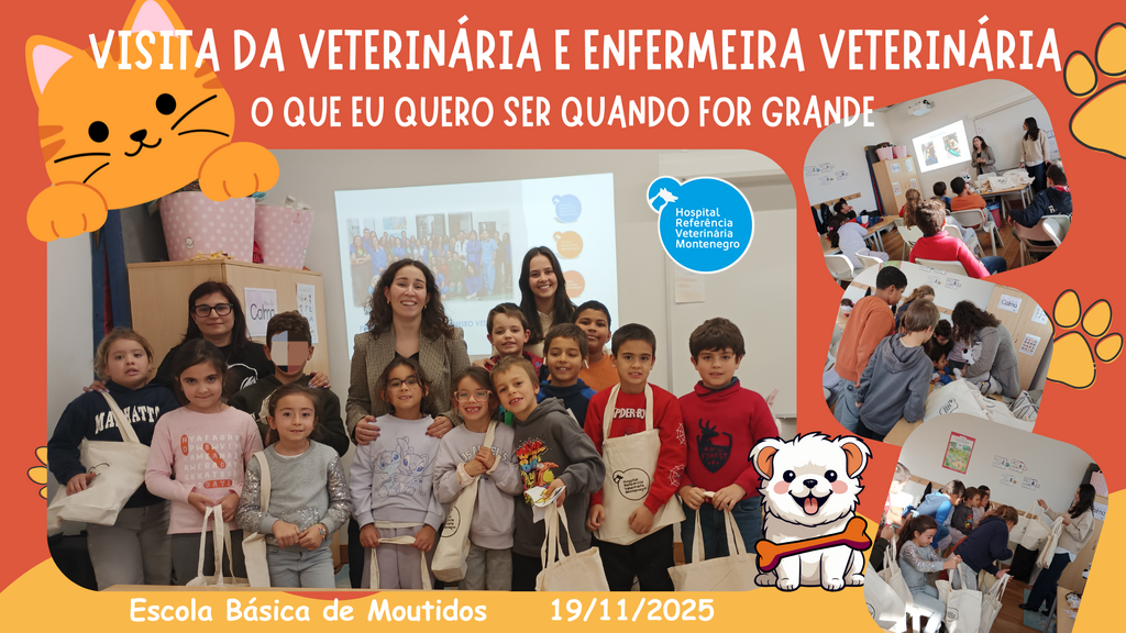 Profissionais do Hospital Referência Veterinária Montenegro na EB de Moutidos
