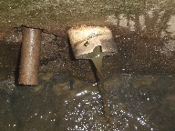 image_agua_polui_suina