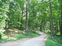 image_mini projectos