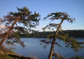 image_Protocolo_de_Quioto