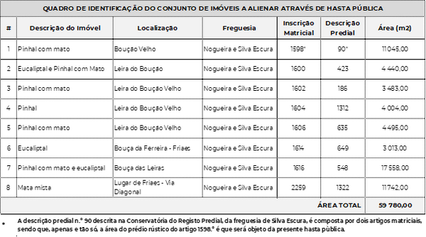 Quadro de identificação do conjunto de imóveis a alienar através de hasta pública