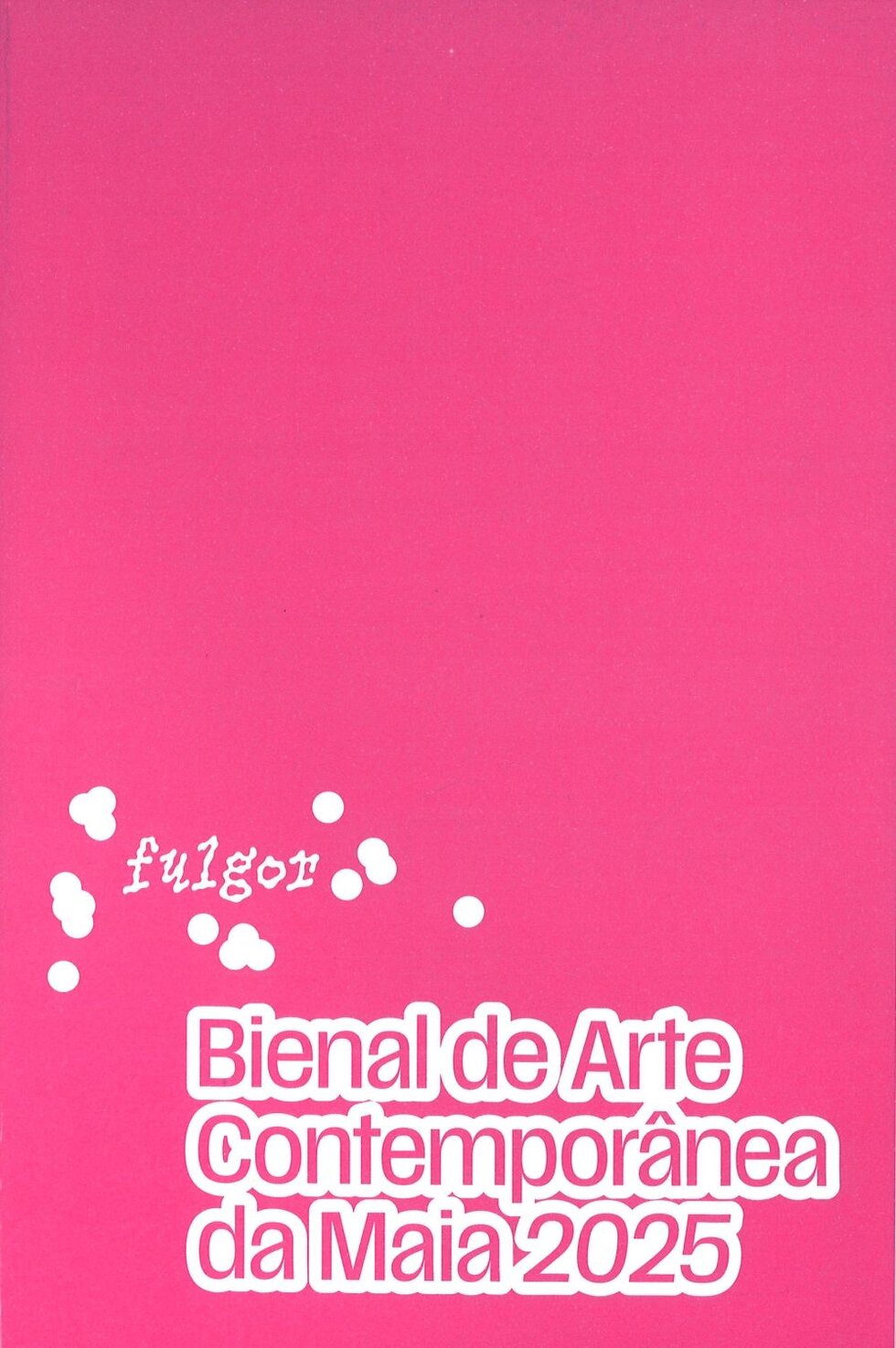 cat&aacute;logo da bienal de arte 2025